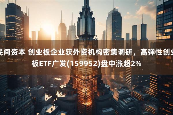 民间资本 创业板企业获外资机构密集调研，高弹性创业板ETF广发(159952)盘中涨超2%