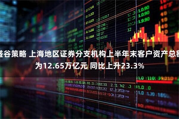 盛谷策略 上海地区证券分支机构上半年末客户资产总额为12.65万亿元 同比上升23.3%