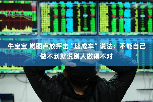 牛宝宝 岚图卢放抨击“速成车”说法：不能自己做不到就说别人做得不对